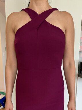 Berry Sleeveless Sheath Dress Bodycon Cocktail